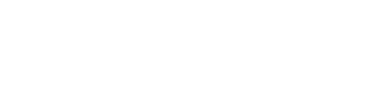 Hyundai Electronics